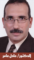 الدكتور عادل عامر
